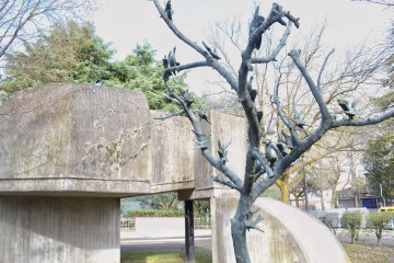 Caduti