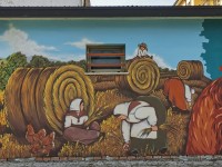 D-La-raccolta-del-grano-ieri-e-oggi