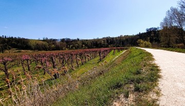 diga-steccaia