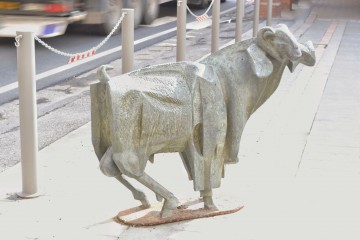 Montone